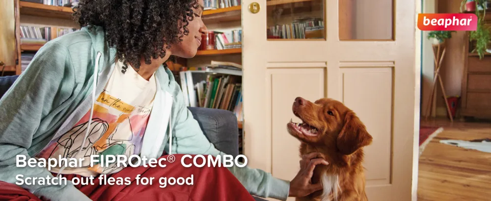 Beaphar | FIPROtec COMBO for Medium Dogs (10-20kg) | Kills Fleas Flea Eggs & Ticks | Stops Fleas Multiplying on Pet and in Home | Vet Strength Treatment | 6 Pipettes - Beaphar FIPROtec COMBO