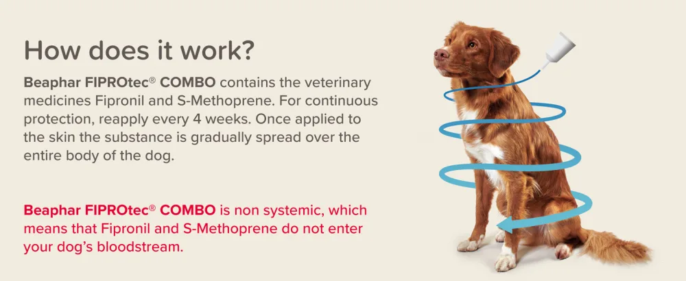 Beaphar | FIPROtec COMBO for Medium Dogs (10-20kg) | Kills Fleas Flea Eggs & Ticks | Stops Fleas Multiplying on Pet and in Home | Vet Strength Treatment | 6 Pipettes - How does it work?
