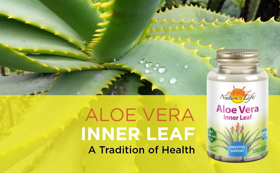 Nature's Herbs Aloe Vera Inner Leaf 100 Vegetarian Capsules - Nature