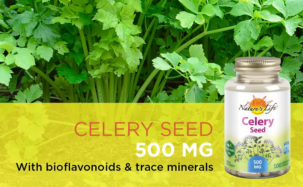 Nature's Herbs Celery Seed 100 Vegetarian Capsules - Nature