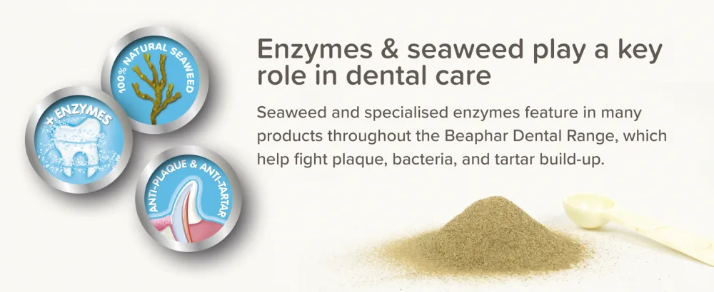 Beaphar | Plaque Away Drinking Water Additive | Dental Care for Dogs & Cats | Fights Bad Breath | Helps Reduce Plaque Build-up | 250ml - Enzymes & Seaweed