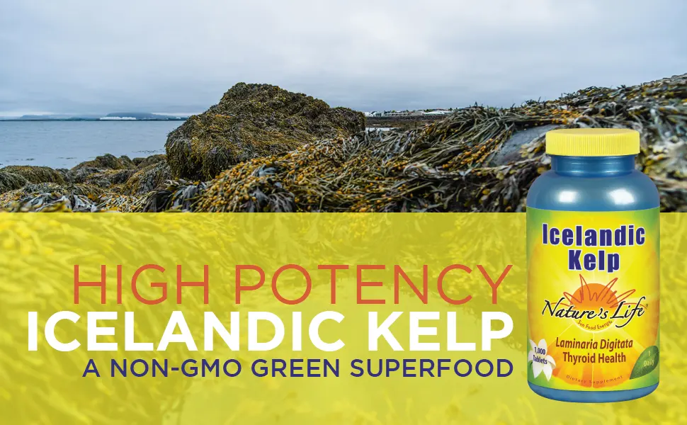 Nature's Life Icelandic Kelp 1000 Tablets - Nature