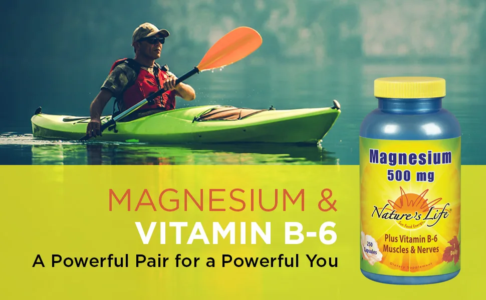Nature's Life Magnesium 500 mg 250 Vegetarian Capsules - Nature
