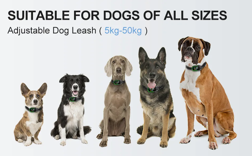 CANDYDOG Bark Collar Smart Anti Barking Collars with 5 Adjustable Sensitivity Vibration & Beep Modes No Shock IP67 Waterproof Stop Dog Barking Device for Small Medium Large Dogs - Anti Barking Dog Collars