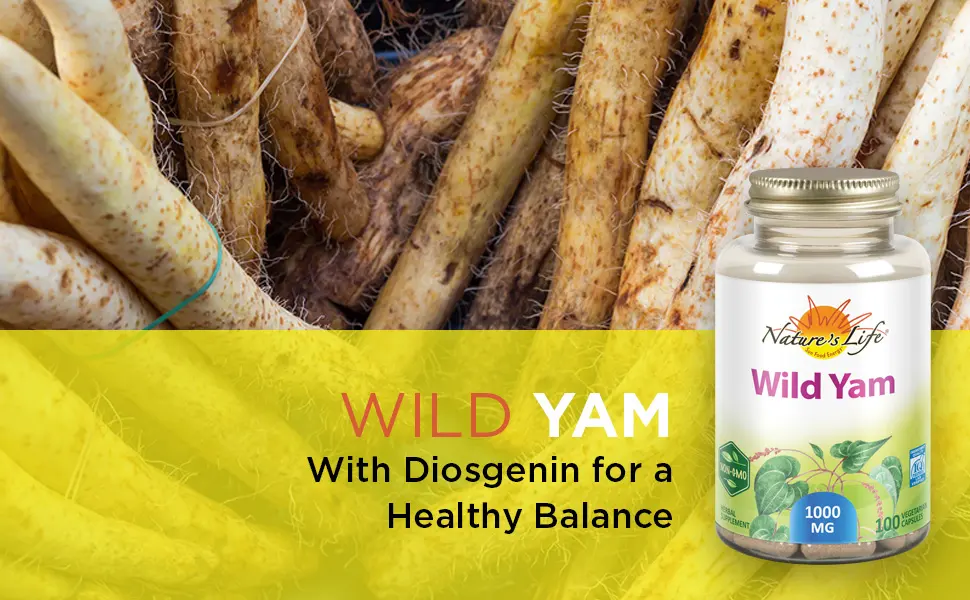 Nature's Life Wild Yam 1000 mg 100 Vegetarian Capsules - Nature