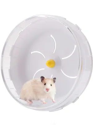 21cm/8.3In Silent Hamster Exercise Wheel Pets Running Sports Jogging Wheel Silent Large Spinner Exercise Running Wheel for Hamsters Gerbils Mice or Other Small Animals - product information 2