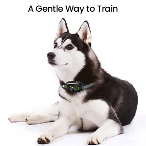 Anti Bark Collars for Dogs Rechargeable Bark Collar for Large Medium Small Dog Anti Barking Dog Collars with 7 Adjustable Sensitivity Beep Vibration No Bark Collar Smart Harmless Dog Bark Collar Multi-colored - anti bark collar for dogs