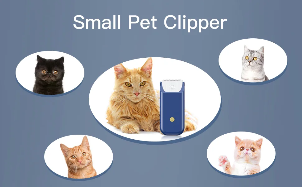 Electric Mini Cat Grooming Kit Rechargeable Type C Pet Cat Clipper for Matted Fur Cordless Lightweight Pet Shavers for Kitty/Puppy/Rabbits/Small Pets Blue - cat shaver