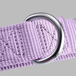 Mikivery Martingale Dog Collars Nylon Adjustable and Safety Choke Training Violet Comfortable Pet Collar for Medium and Large Dogs Violet M:35.5cm-53cm - VOILET 2