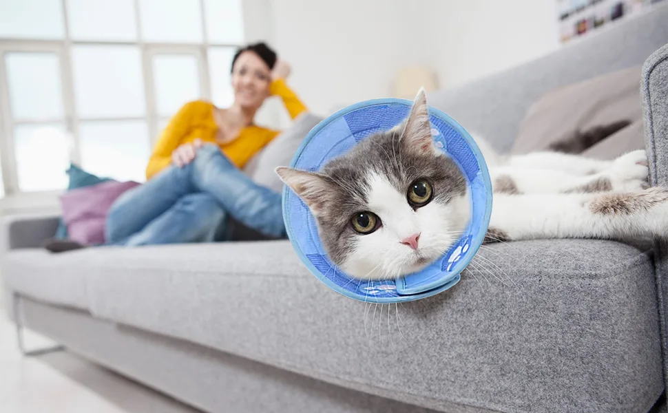 Adjustable Cat Cone Collar Soft Cat Recovery Collar Soft Cone for Cat Small Dog Adjustable Elizabethan Collars Cones for Small Pets Cats Kittens (M) - product information 5