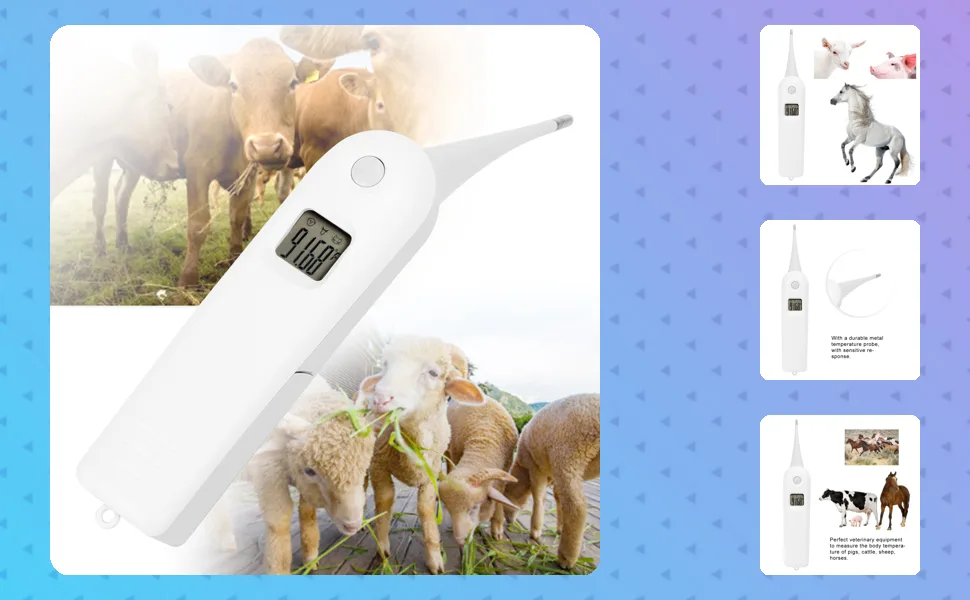 Electronic Pigs Cattle Sheep Thermometer Pet Dog Thermometer Anus Thermometer Fast Digital Veterinary Thermometer Temperature Tester for Livestock - 2114200010011-1