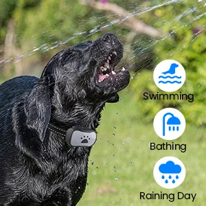 MASBRILL Bark Collar for Small Medium Large Dog Anti Barking Dog Collars Rechargeable with Vibration Beep Training Stop Dog Barking Deterrent Device with 7 Sensitivity Levels-Blue Light - anti bark collar
