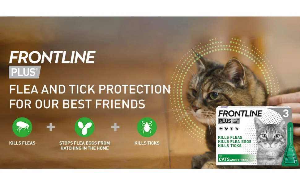 FRONTLINE Plus Flea & Tick Treatment for Cats and Ferrets - 3 Pipettes - Frontline Cat