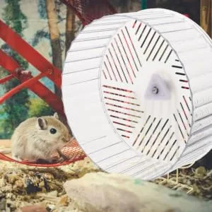 Gerbil Pig Wheel:12 Inch Silent Hamster Wheel 26.5X23cm As Shown - product information 4