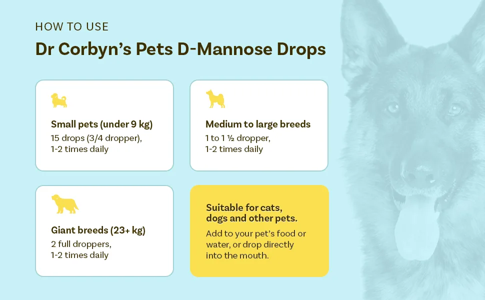 Dr Corbyn Pets D-Mannose Drops - 50ml | Urinary Tract & Bladder Health Support for Dogs Cats | Cystitis Support | All Natural Easy to Use - how to use d-mannose drops for pets