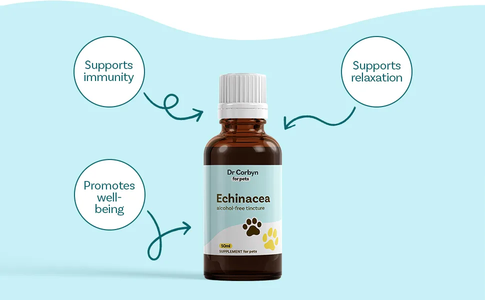 Dr Corbyn Pets Echinacea Drops 50ml | Natural Immunity Support Drops for Dogs & Cats | Echinacea Supplement for Pets Supports A Healthy Active Immune System - echinacea for pets