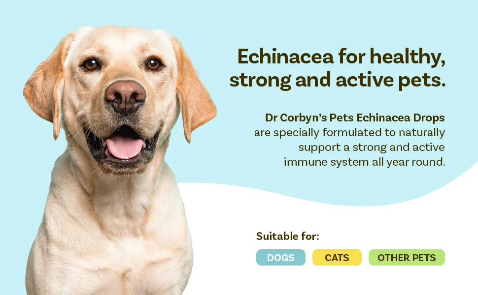 Dr Corbyn Pets Echinacea Drops 50ml | Natural Immunity Support Drops for Dogs & Cats | Echinacea Supplement for Pets Supports A Healthy Active Immune System - pets immune support