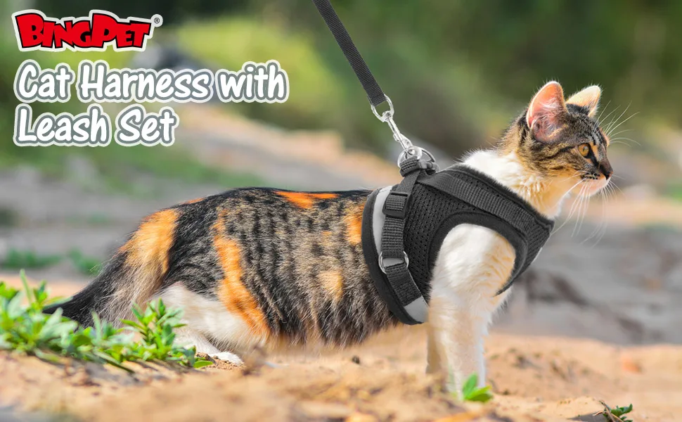 BINGPET Escape Proof Cat Harness and Leash Set - Adjustable Vest Harnesses for Small Medium Cats Soft Reflective Mesh Vest Harness and Lead Set - Best for Kitten Walking Medium Black - product information 1