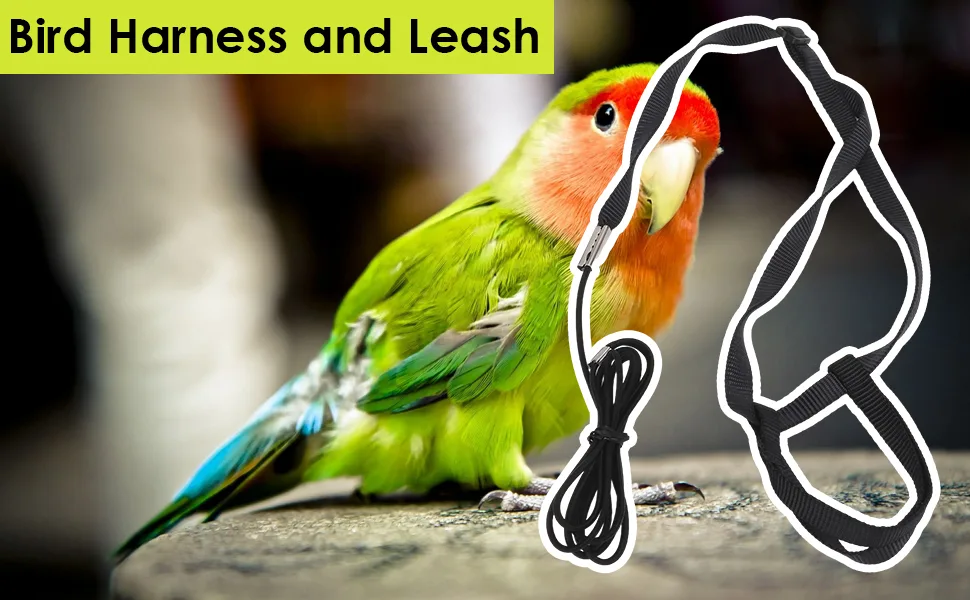 Bird Harness and Leash for Parrot Adjustable Bird Harness Parrot Flying Leash with Adjustable Buckle for African Grey Cockatoo black M - Bird Harness and Leash