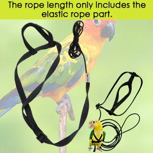 Bird Harness and Leash for Parrot Adjustable Bird Harness Parrot Flying Leash with Adjustable Buckle for African Grey Cockatoo black M - Bird Harness and Leash