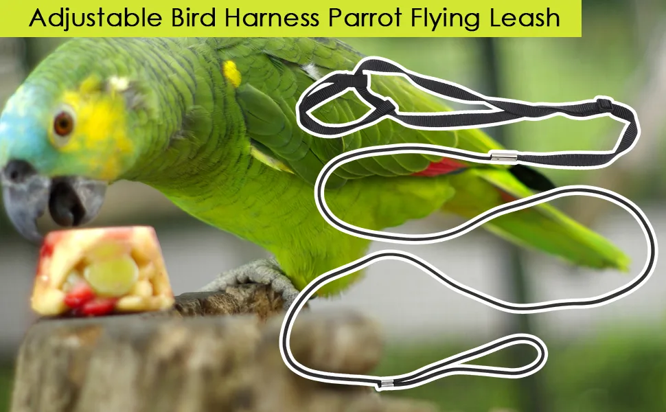 Bird Harness and Leash for Parrot Adjustable Bird Harness Parrot Flying Leash with Adjustable Buckle for African Grey Cockatoo black M - Bird Harness and Leash
