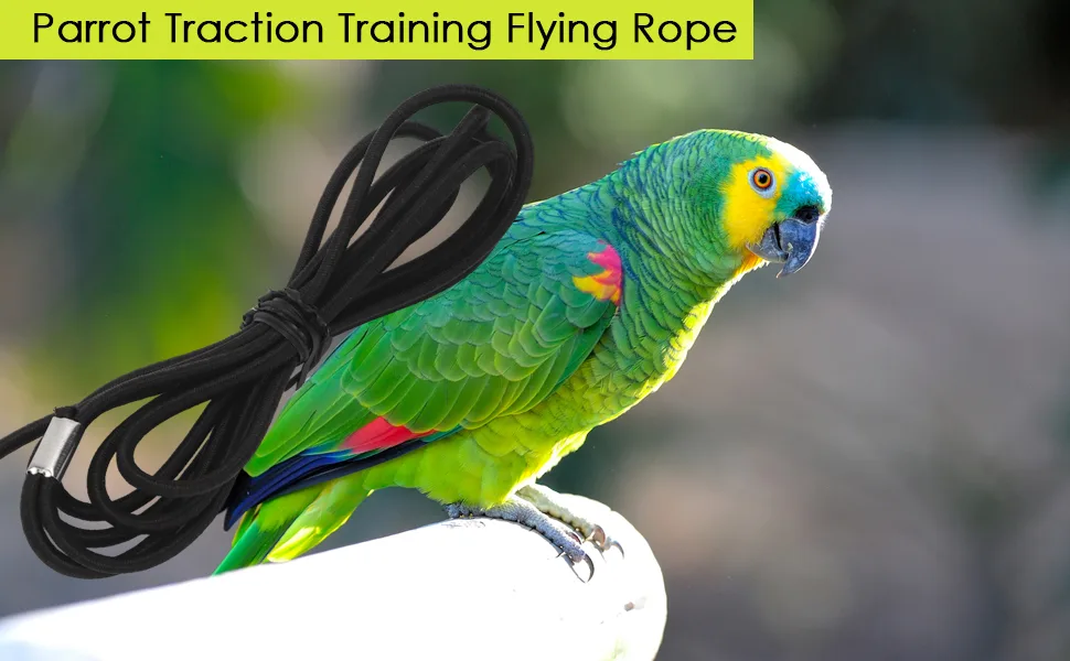 Bird Harness and Leash for Parrot Adjustable Bird Harness Parrot Flying Leash with Adjustable Buckle for African Grey Cockatoo black M - Bird Harness and Leash