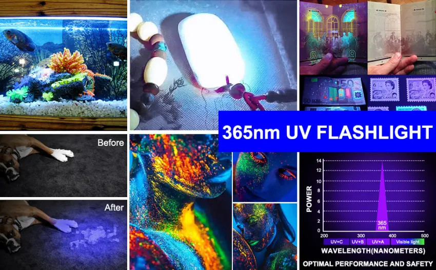 DARKBEAM UV Light Torch Ultraviolet Flashlight Rechargeable 365nm Wood's Lamp Black Light Blacklight Portable Mini Handheld LED Pet Urine Ringworm Detector Resin Curing Pocket-Sized - A200