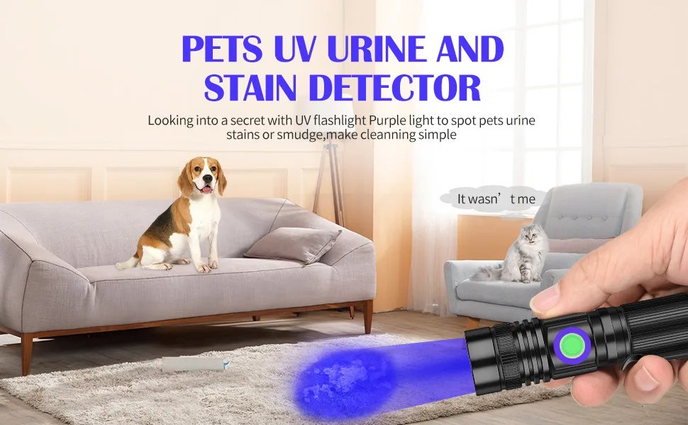 DARKBEAM UV Light Torch Ultraviolet Flashlight Rechargeable 365nm Wood's Lamp Black Light Blacklight Portable Mini Handheld LED Pet Urine Ringworm Detector Resin Curing Pocket-Sized - A300