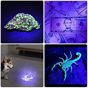 DARKBEAM UV Light Torch Ultraviolet Flashlight Rechargeable 365nm Wood's Lamp Black Light Blacklight Portable Mini Handheld LED Pet Urine Ringworm Detector Resin Curing Pocket-Sized - A300-365
