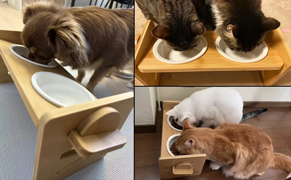 Raised Cat Bowl Cat Bowls with Stand Tilted 15 Adjustable Elevated Ceramic Cat Food Bowl for Cats and Small Dog - raised cat bowl