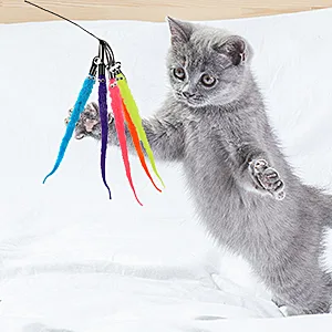 Molain Cat Wand Toy Set -Cat Teaser+ 6Pcs Furry Tail Worms with Bells Interactive Cat Chaser Toys - Cat Wand Interactive Toys