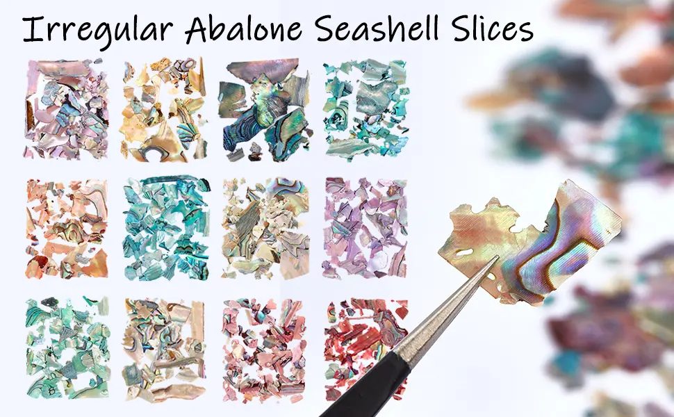 NICENEEDED 12 Colors Irregular Abalone Seashell Slices 3D Nail Art Shell Piece Nail Patch Mermaid Flakes for Nail Art Decoration Sequins Decals (Style 2) - 3D Nail Art Shell Piece