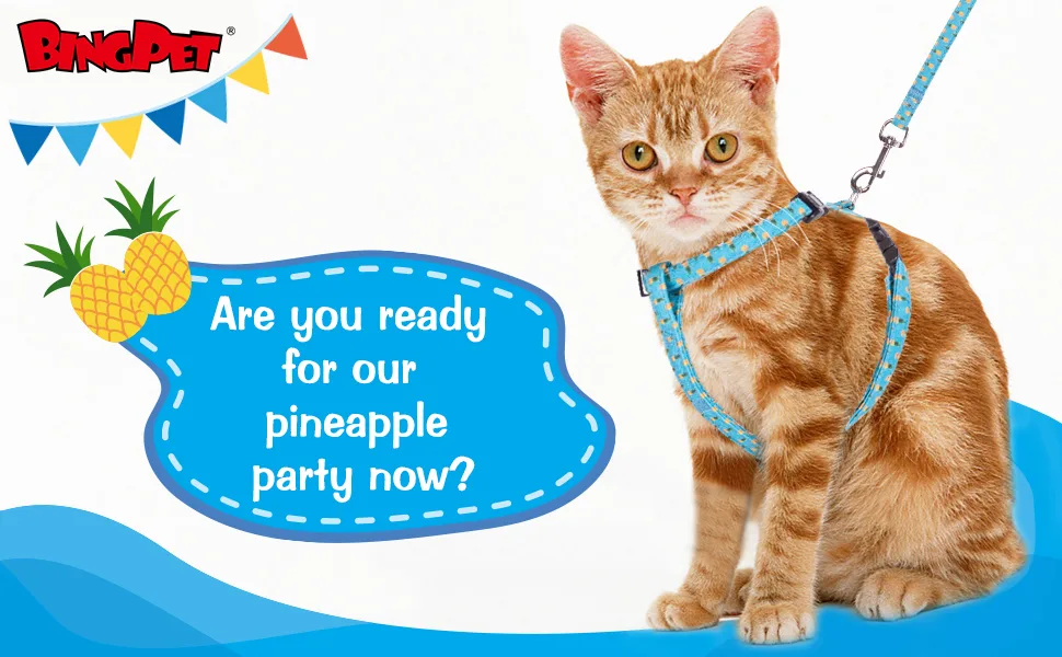 BINGPET Cat Harness and Lead Set Escape Proof - Adjustable Soft Vest Harnesses for walking with Pineapple Pattern Pet Chest Strap for Small Medium Large Kitten - product information 1
