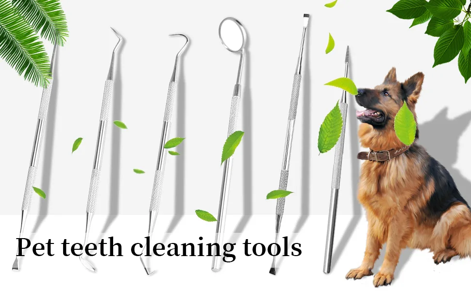 Symphonyw Calculus Remover for Dog 2pcs Stainless Steel Tarter Remover Oral Tool Pet Dog Cat Dental Teeth Cleaning Tools (2PCS) - Calculus Remover