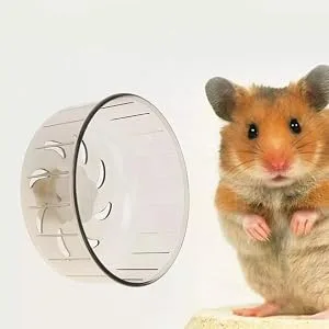 Nicoone Hamster Running Wheel 5.1 Inch Hamster Running Spinner Washable Exercise Wheel for Small Hamster Baby Rat Gerbils Dwarf Hamster - Hamster Running Wheel