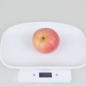 Electronic Kitchen Scale 10kg/1g Digital Small Pet Weight Scale Household Measure Tool for Cats Dogs Parrots - kitchen