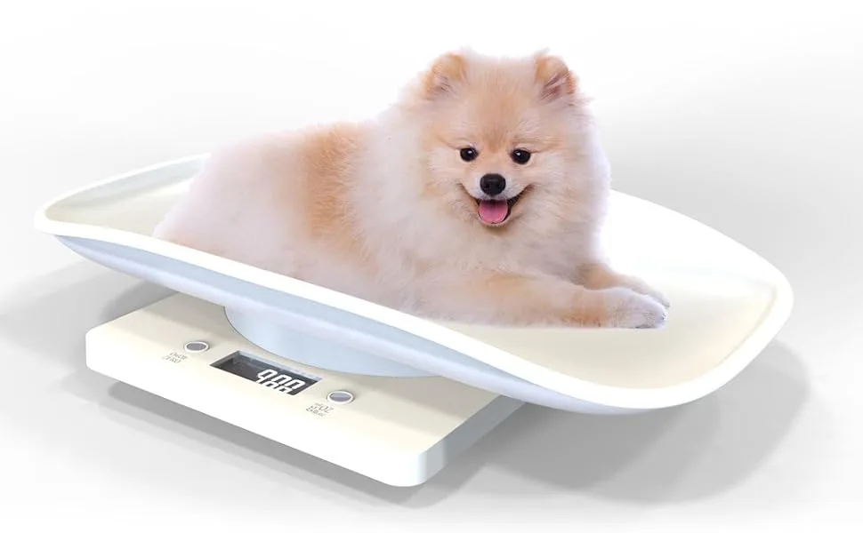 Electronic Kitchen Scale 10kg/1g Digital Small Pet Weight Scale Household Measure Tool for Cats Dogs Parrots - pet scale