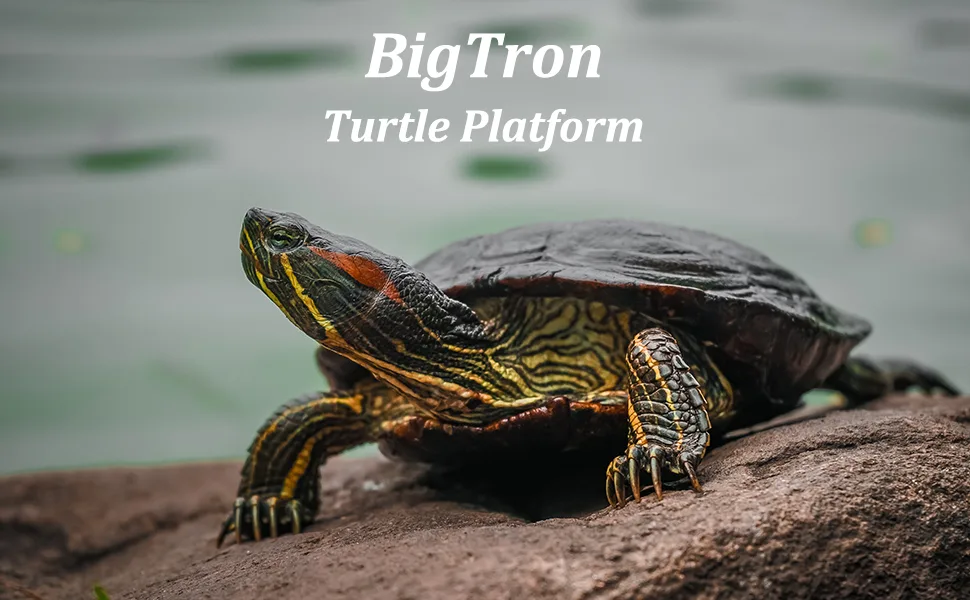 BigTron Turtle Platform Floating Turtle Pier Rectangular Terrapin Dock PU Foam Aquarium Float Decoration Bask Terrace Climb Brazilian Tortoise Small-20cm - product information 1