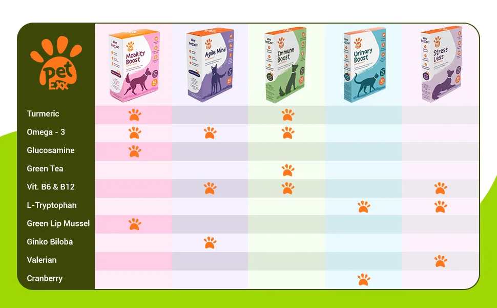 PetExx Energy Boost 100ml - multivitamin rehydration immune support electrolyte pet supplement for energy increase with Beta Glucans Prebiotics Amino acids vitamins A E D3 & B12 & green tea - energy boost