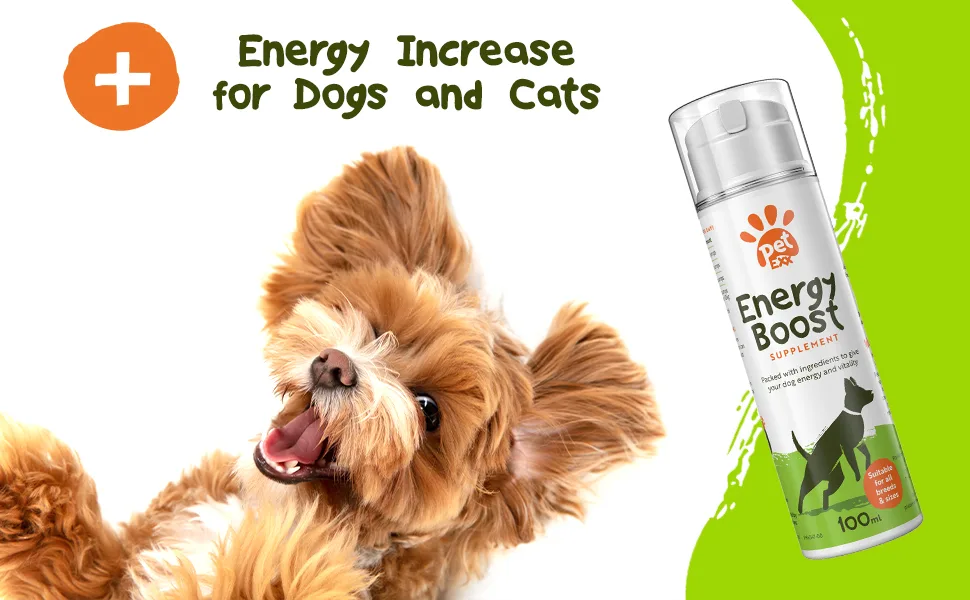 PetExx Energy Boost 100ml - multivitamin rehydration immune support electrolyte pet supplement for energy increase with Beta Glucans Prebiotics Amino acids vitamins A E D3 & B12 & green tea - energy increase