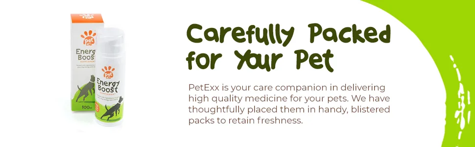 PetExx Energy Boost 100ml - multivitamin rehydration immune support electrolyte pet supplement for energy increase with Beta Glucans Prebiotics Amino acids vitamins A E D3 & B12 & green tea - medicine for pets