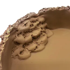 Mascot Pets Large 19cm Reptile Dish Feed Feeding Water Bowl Vivarium Tank Feeder Snake Tortoise Lizard - feeding bowl steps