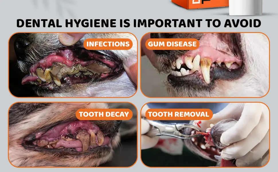 Dog Toothpaste | Natural Toothpaste for Dogs | Remove Plaque Fight Decay & Bad Dog Breath | 100g Mint Pet Toothpaste for Dental Care - tooth decay products for dogs dental plaque tartar gum disease dogs hygiene toothpastes