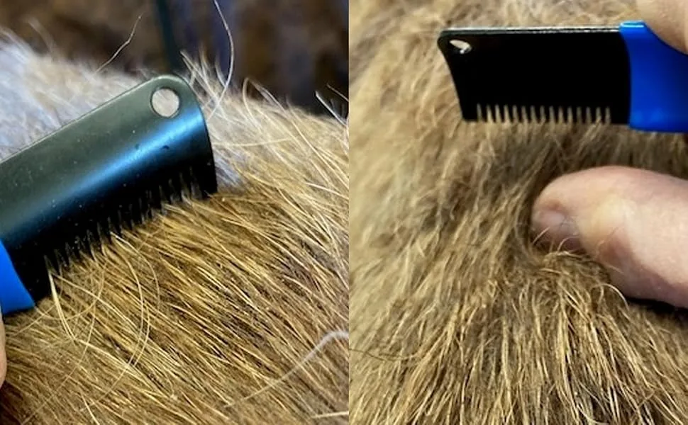 Masterclip | Stripping Knife for Dogs & Pets Professional Stripping Comb for Dog Grooming (Fine Hair Coats) De-Shedding Tool for Dogs - Alfie coarse 2