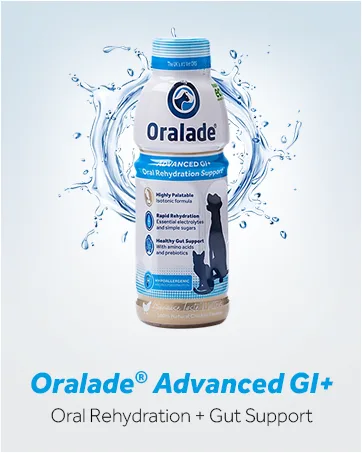Oralade - Advanced RF+ Oral Rehydration Support for Cats - Fast Acting Isotonic Formula - Kidney and Urinary Support - Natural Chicken Flavour - Highly Palatable - For all Ages - 330ml - oralade gi rehydration gut support digestive health dogs pets healthy dog pet nutrition food