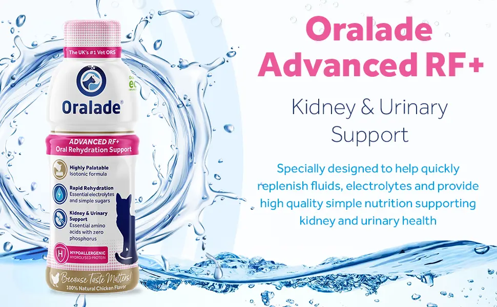 Oralade - Advanced RF+ Oral Rehydration Support for Cats - Fast Acting Isotonic Formula - Kidney and Urinary Support - Natural Chicken Flavour - Highly Palatable - For all Ages - 330ml - oralade RF cat hydration feline kidney support pet health healthy pets nutrition food toppers