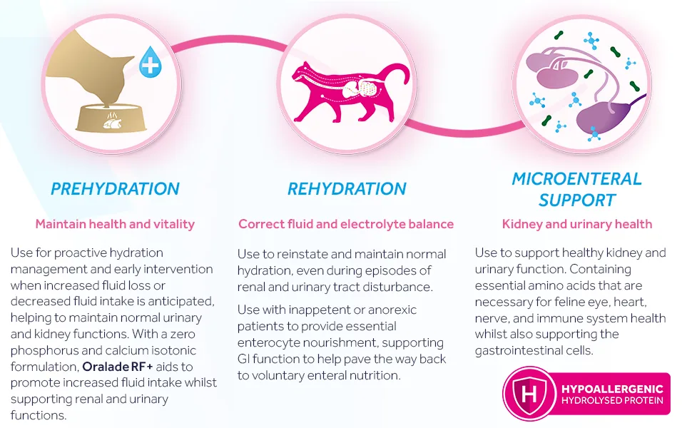 Oralade - Advanced RF+ Oral Rehydration Support for Cats - Fast Acting Isotonic Formula - Kidney and Urinary Support - Natural Chicken Flavour - Highly Palatable - For all Ages - 330ml - oralade RF cat hydration feline kidney support pet health healthy pets nutrition food toppers