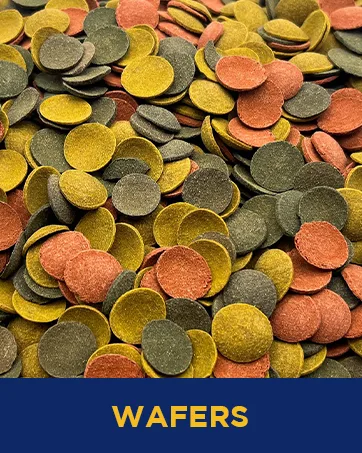 HERONS - Pond Flakes - For Koi Carp and Other Pond and Coldwater Fish - With Essential Vitamins Minerals and Trace Elements - Supports Healthy Immune System - Does Not Cloud Water - 1 KG - Wafers