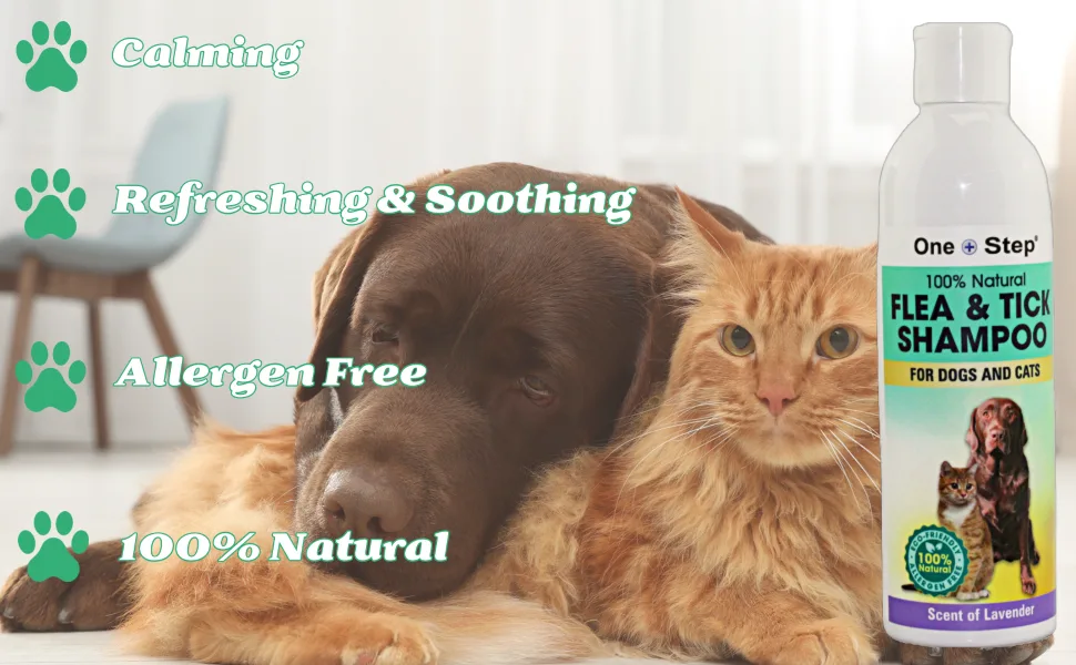 One Step Flea & Tick Shampoo for Dogs & Cats 100% Natural Allergen Free Scent of Lavender 250ml - Flea and Tick Shampoo brand_2
