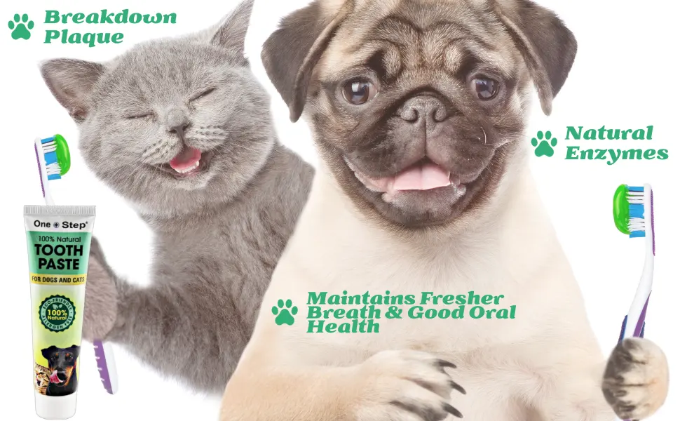 One Step 100% Natural Toothpaste for Dogs and Cats Dental Care Allergen Free 100g Tube Peppermint Flavour - Toothpaste brand 2